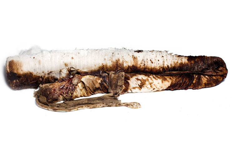 oil boom gulf spill