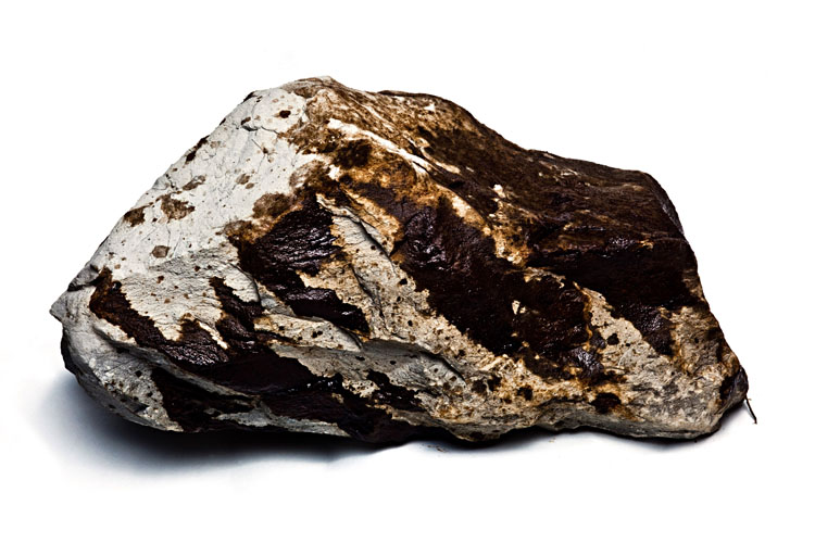 oil covered rock gulf coast