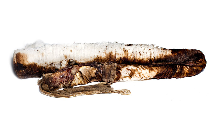 gulf coast oil spill boom