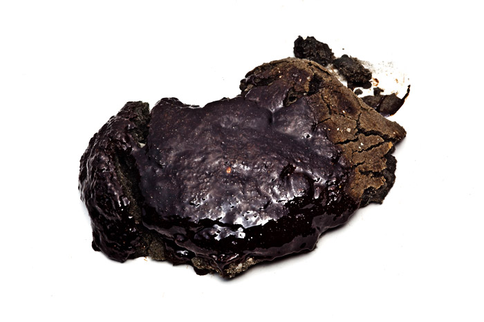 gulf coast oil spill sand