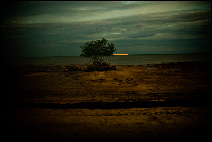 big pine key in florida keys
