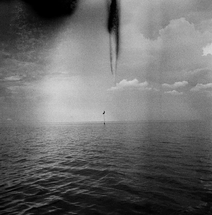 grand isle oil spill gulf coast