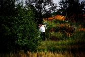 in_between_wedding16